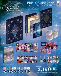 26 BBFF DVD BOXSET