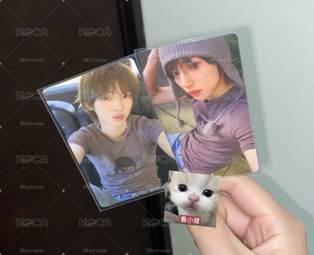 迷二環球小豬豬📘