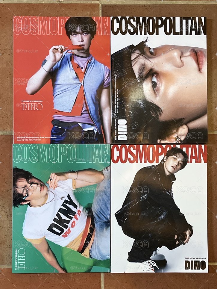 Dino雜誌 （四本