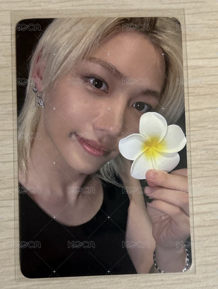 EL菲