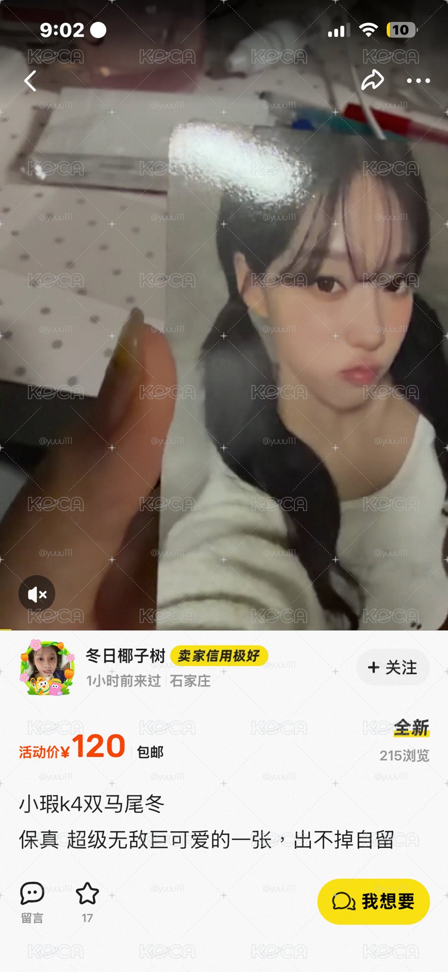 dg k4冬 不用捆