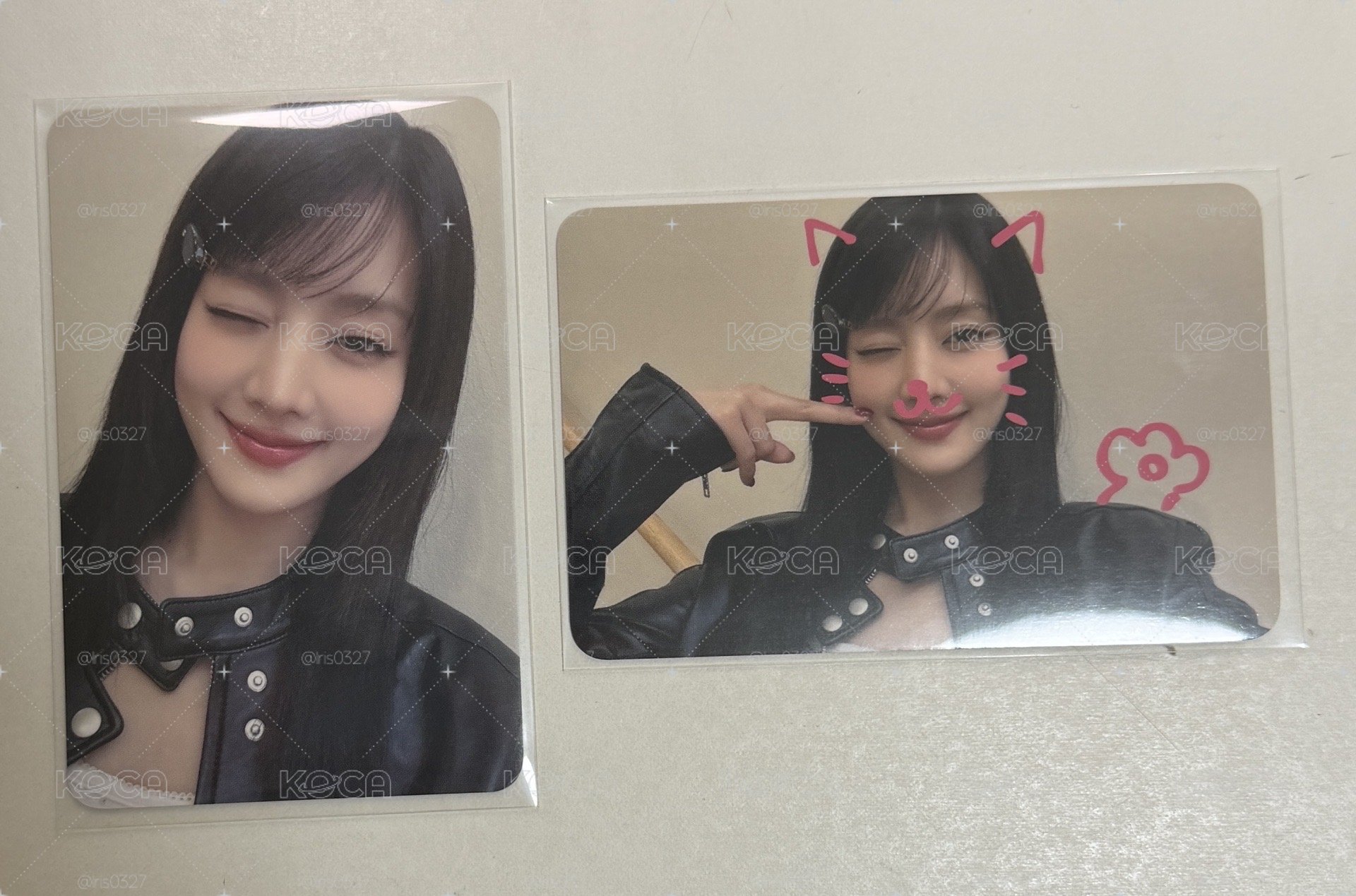 Ms 寵物鏡頭A&B