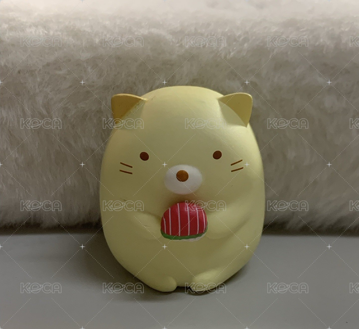 貓咪