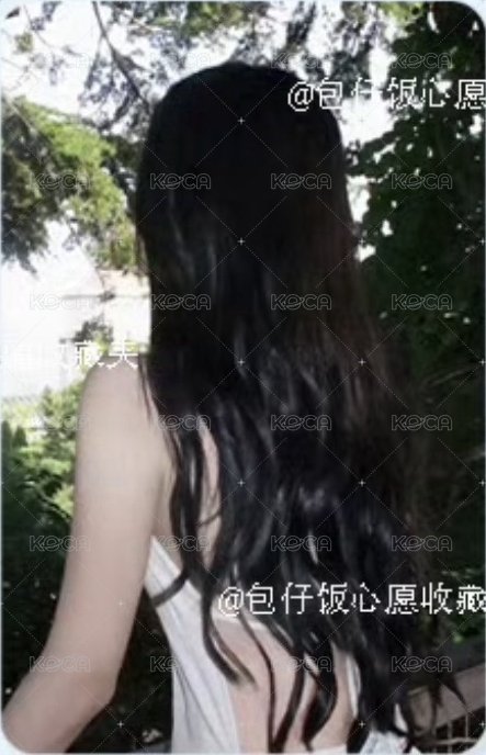 包小挽領養計劃 特典卡  背面