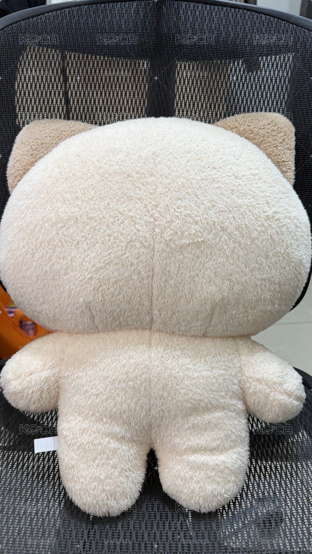 zeroni 大娃 45cm 非全新未下水過
