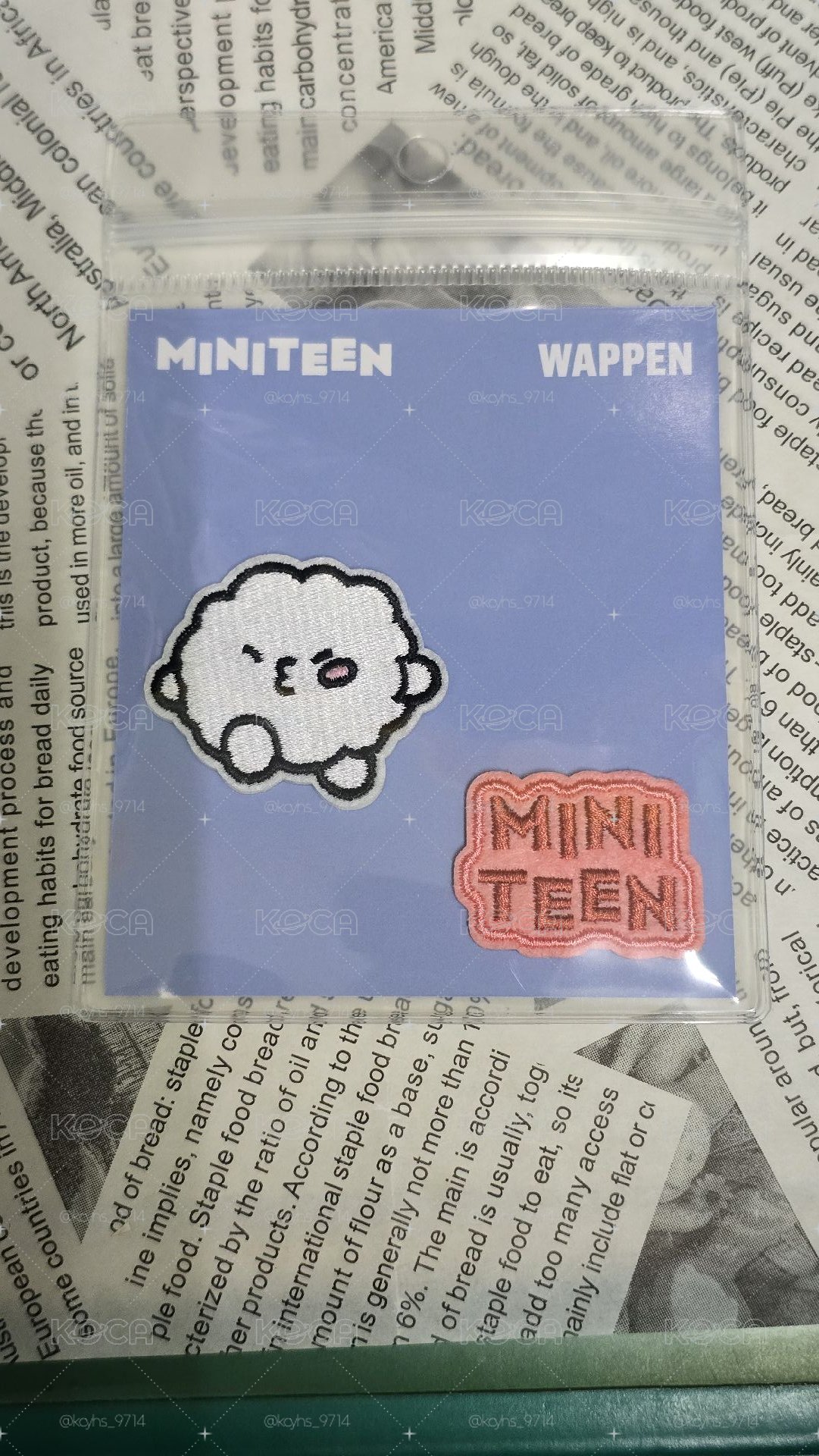 Miniteen 知勳刺繡布貼