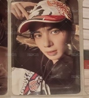 小貓顯