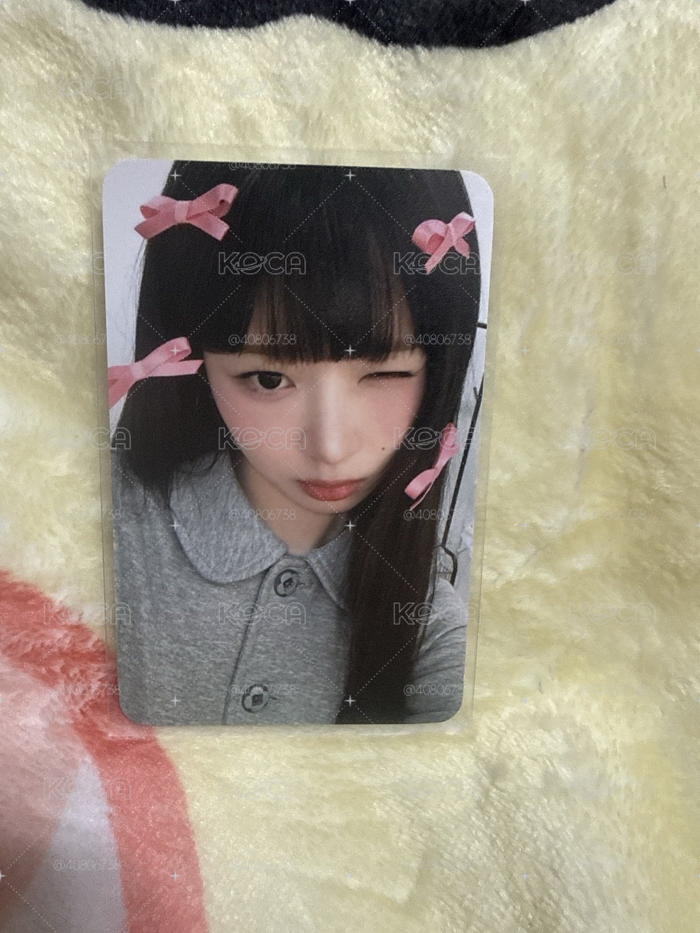 蝴蝶結怜
