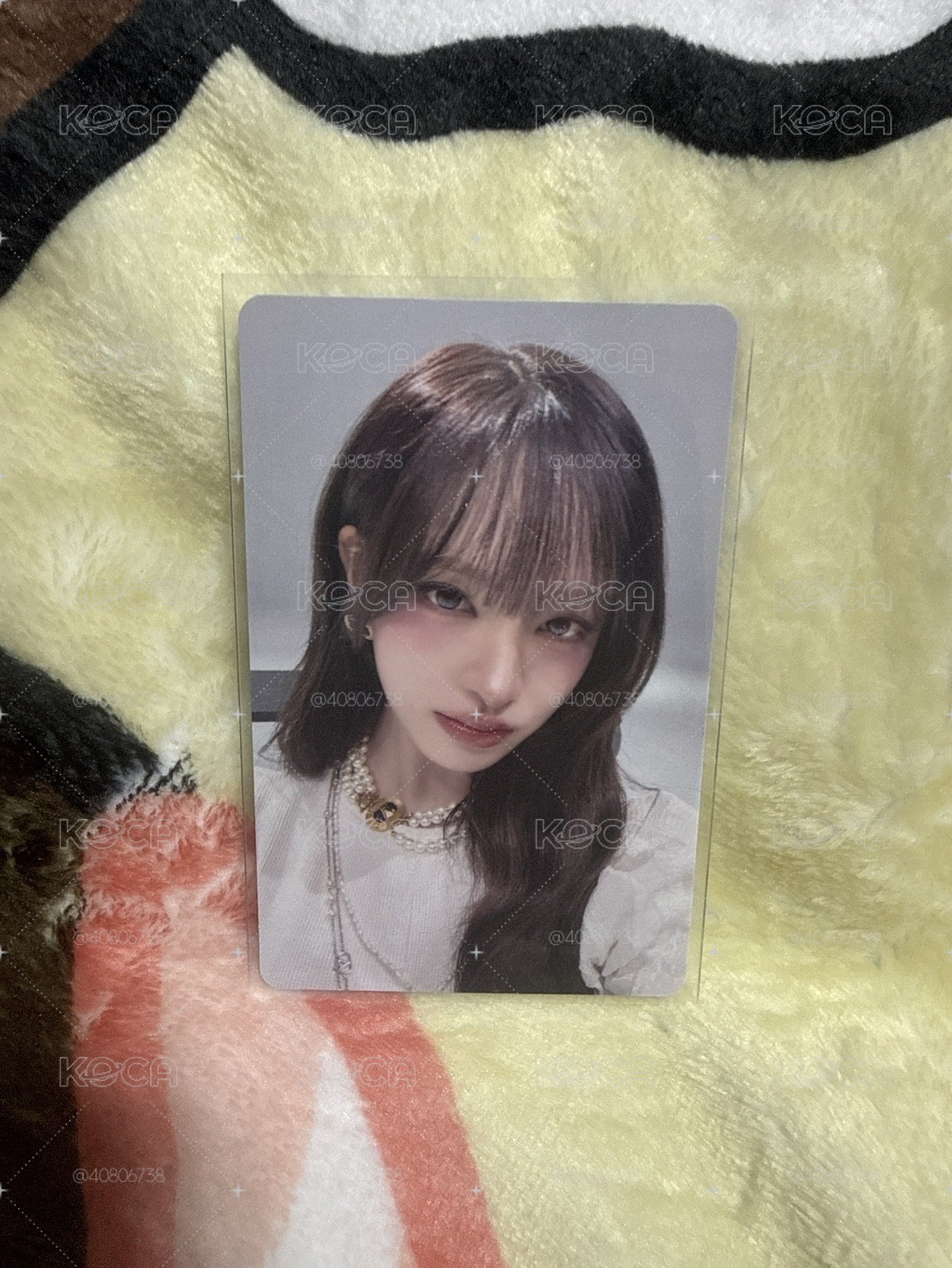 入場栗