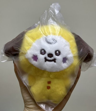 BT21 全新未拆 流星站立款