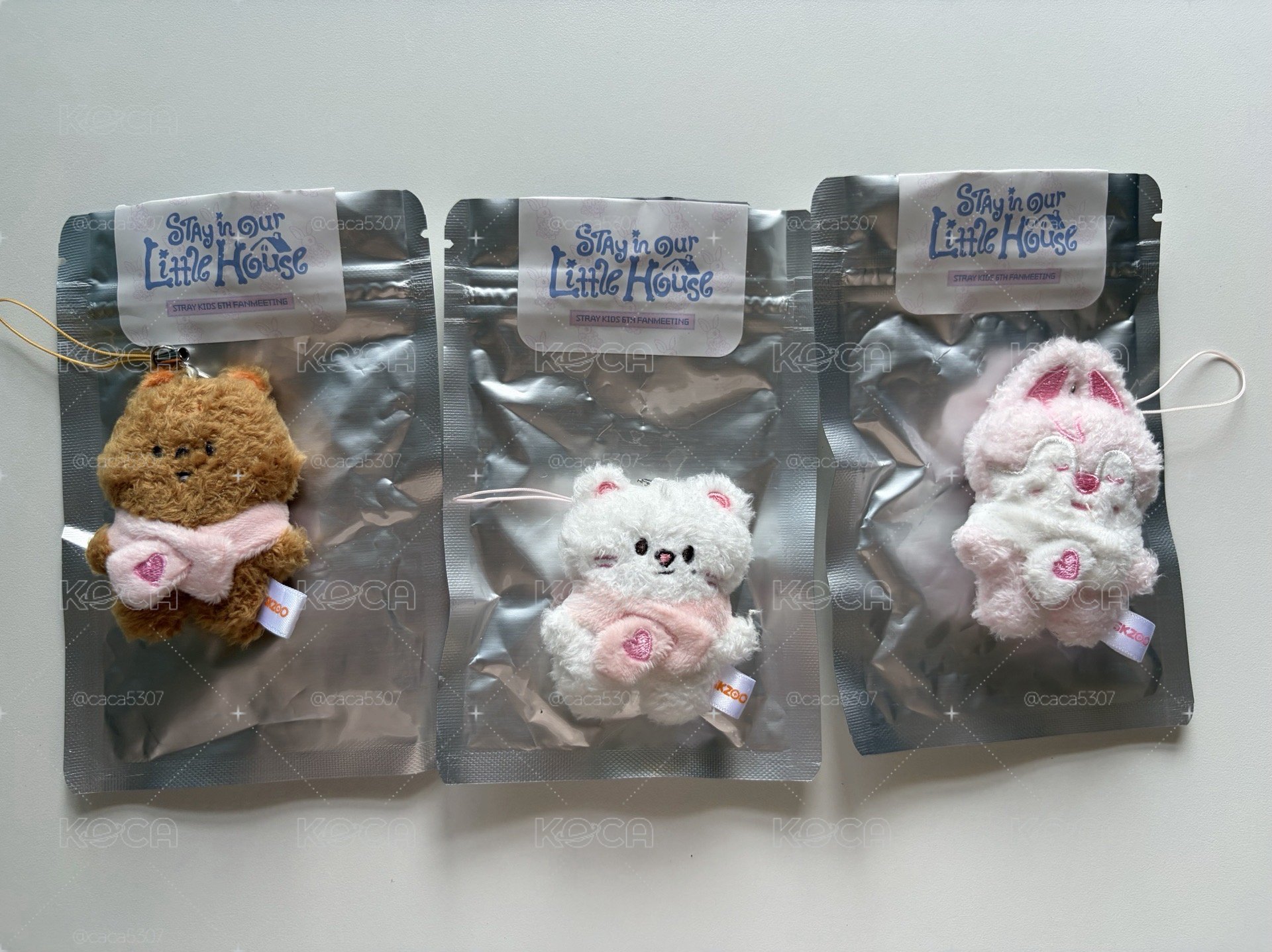 六期飯咪 潦草娃 燦辰城