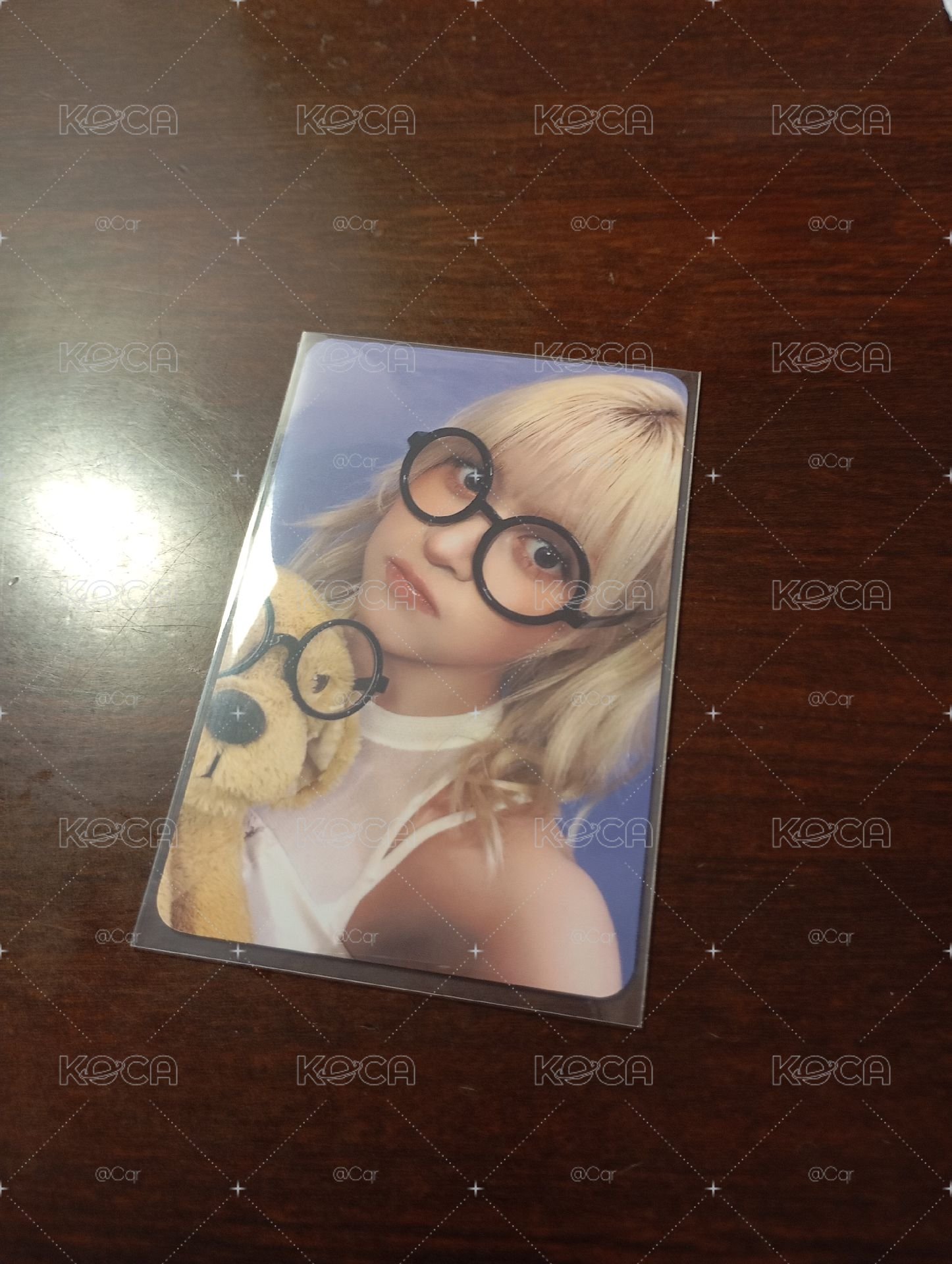 眼鏡小狗莉