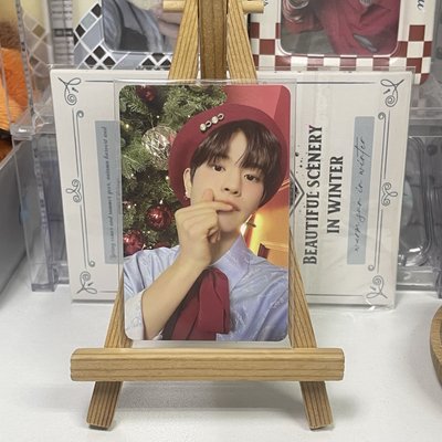 聖誕預售金昇玟