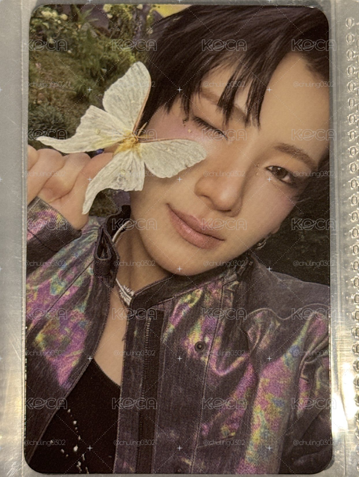 🐺BTL Yuma 單封專卡-蝴蝶