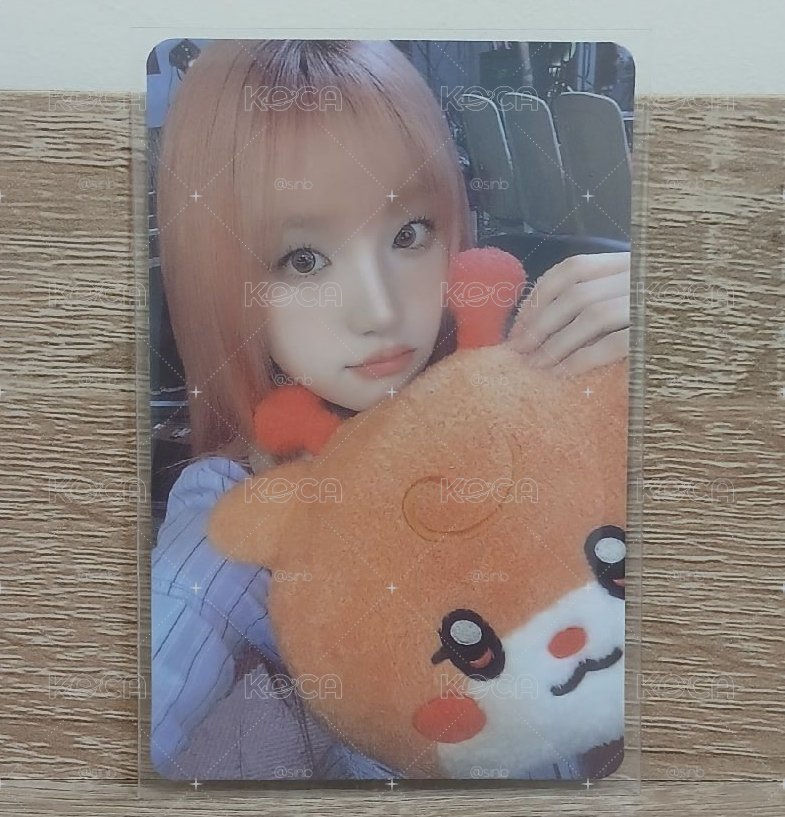 I SWAY 快閃滿額琦🧡抱枕琦🐶