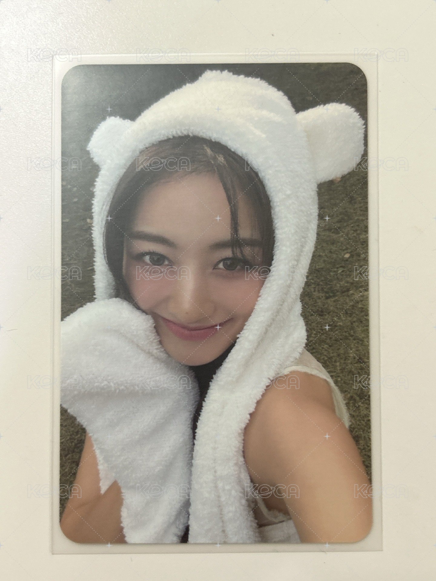 熊帽效