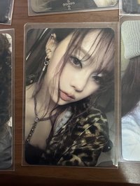 case b冬