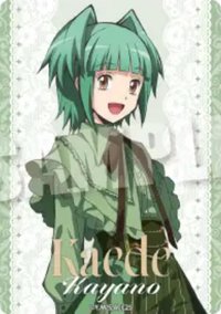 蘿莉塔 透卡 