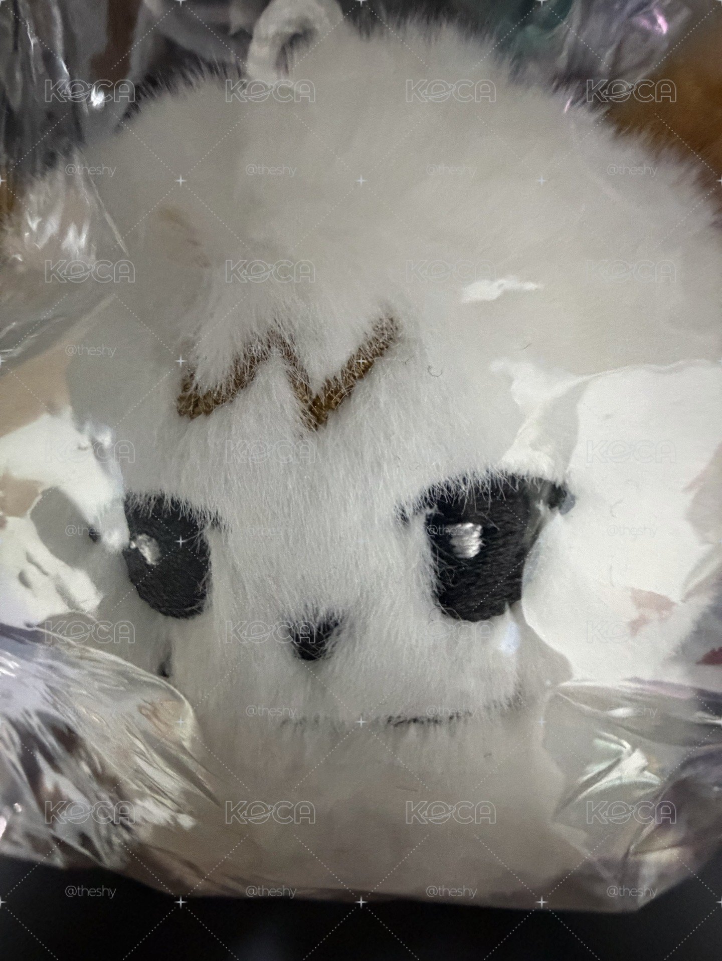白圭美 全新未拆