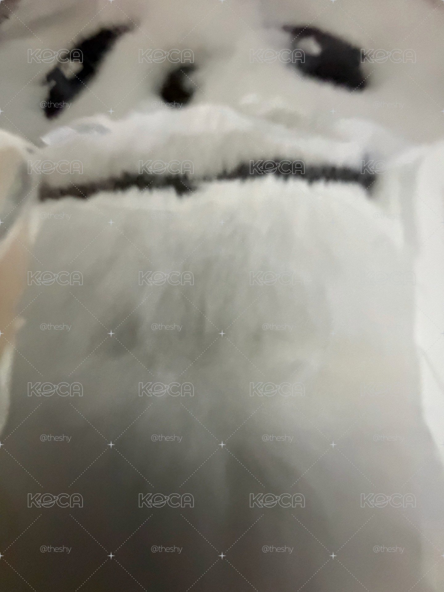 白圭美 全新未拆