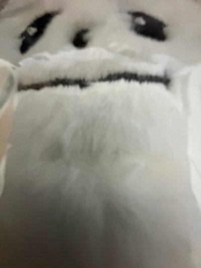 白圭美 全新未拆