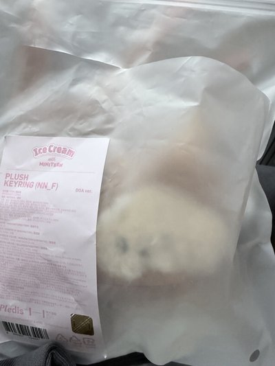 現貨夏日MINITEEN 鑰匙圈吊飾 碩