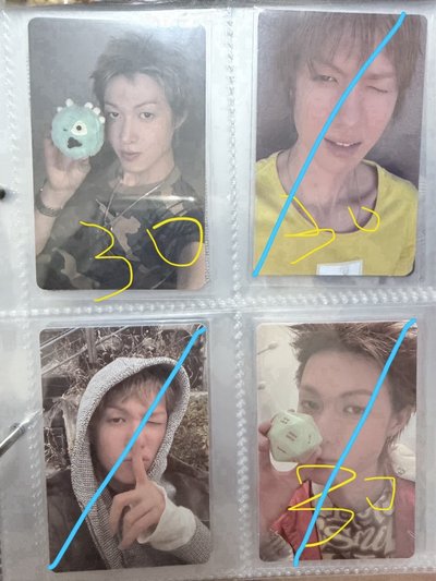 迷ㄧ豬豬