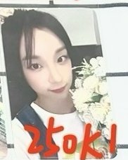 迷七捧花琦k1