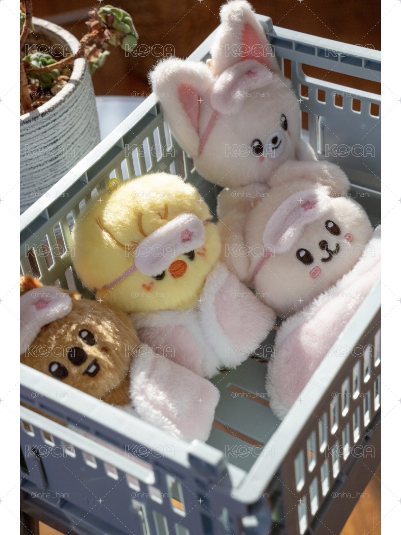 全新現貨 SKZOO PLUSH 10CM Ver. 睡衣娃