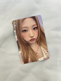 Stella (不當帶)