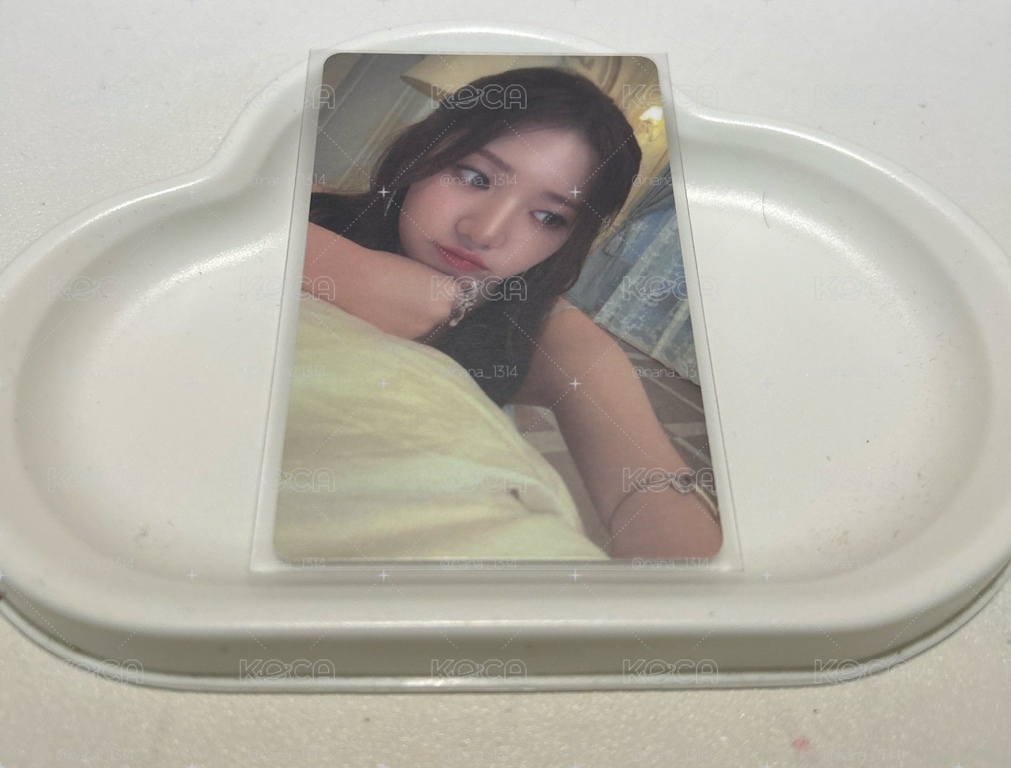 wvs直播卡茶