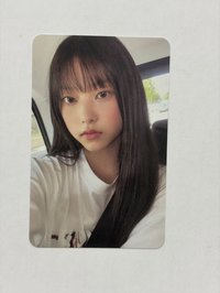 貓1
