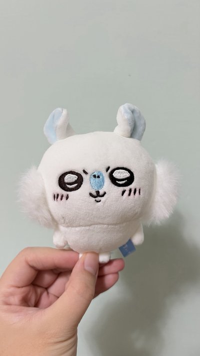 售 吉伊 小桃 小八 獅薩 古本 非盤出
