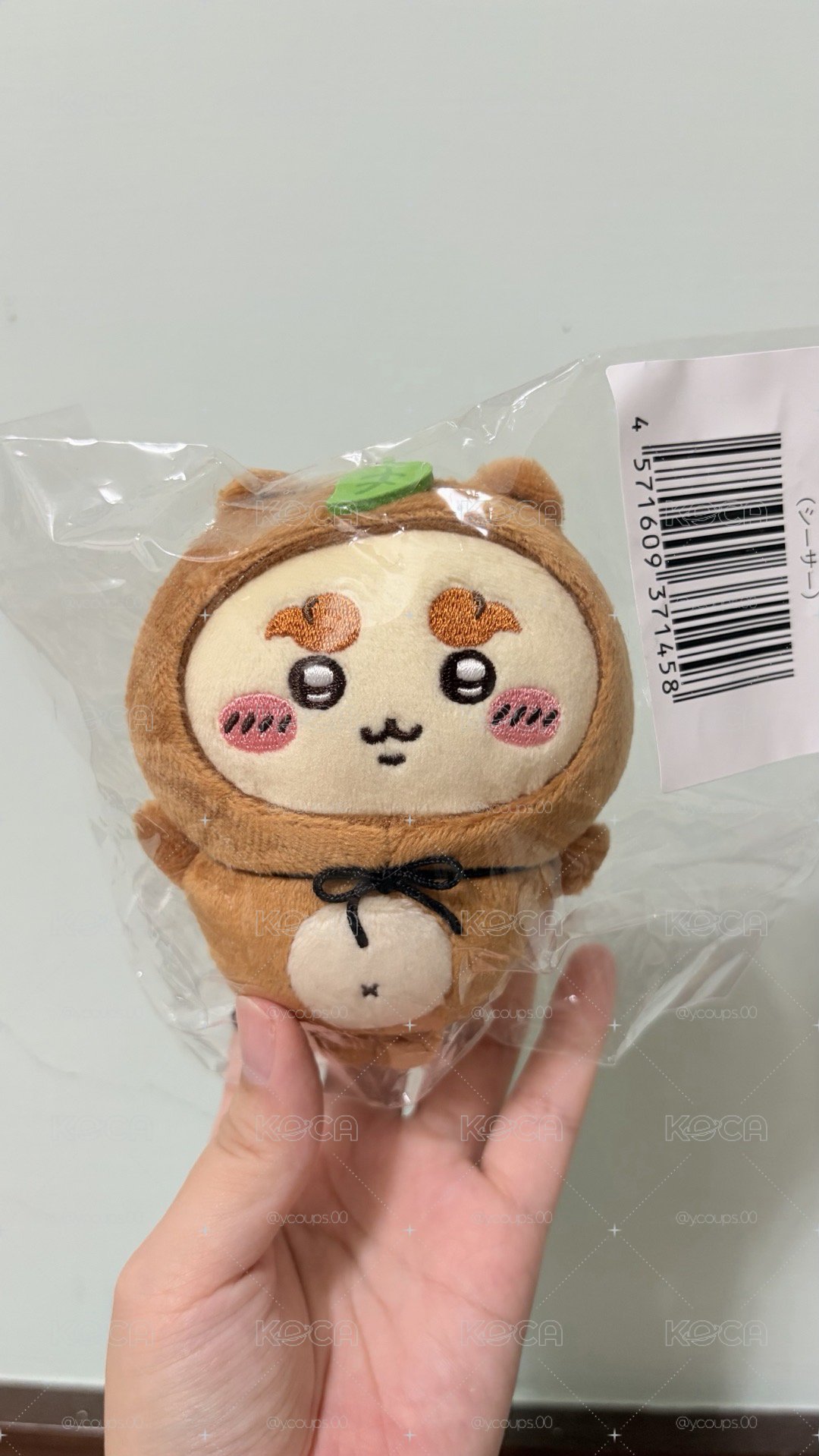 售 吉伊 小桃 小八 獅薩 古本 非盤出