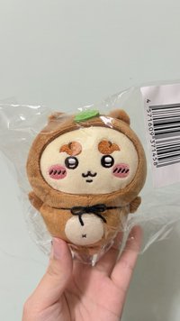 狸貓獅薩