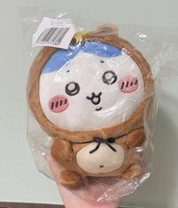 狸貓小八 B賞（30公分）