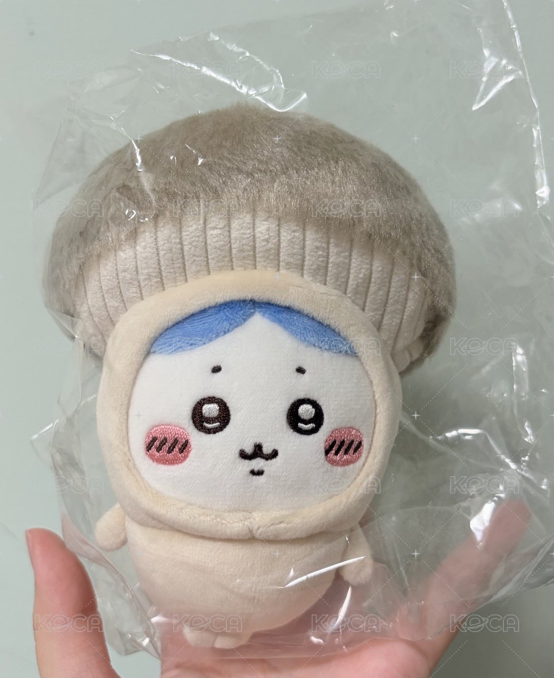 杏鮑菇小八