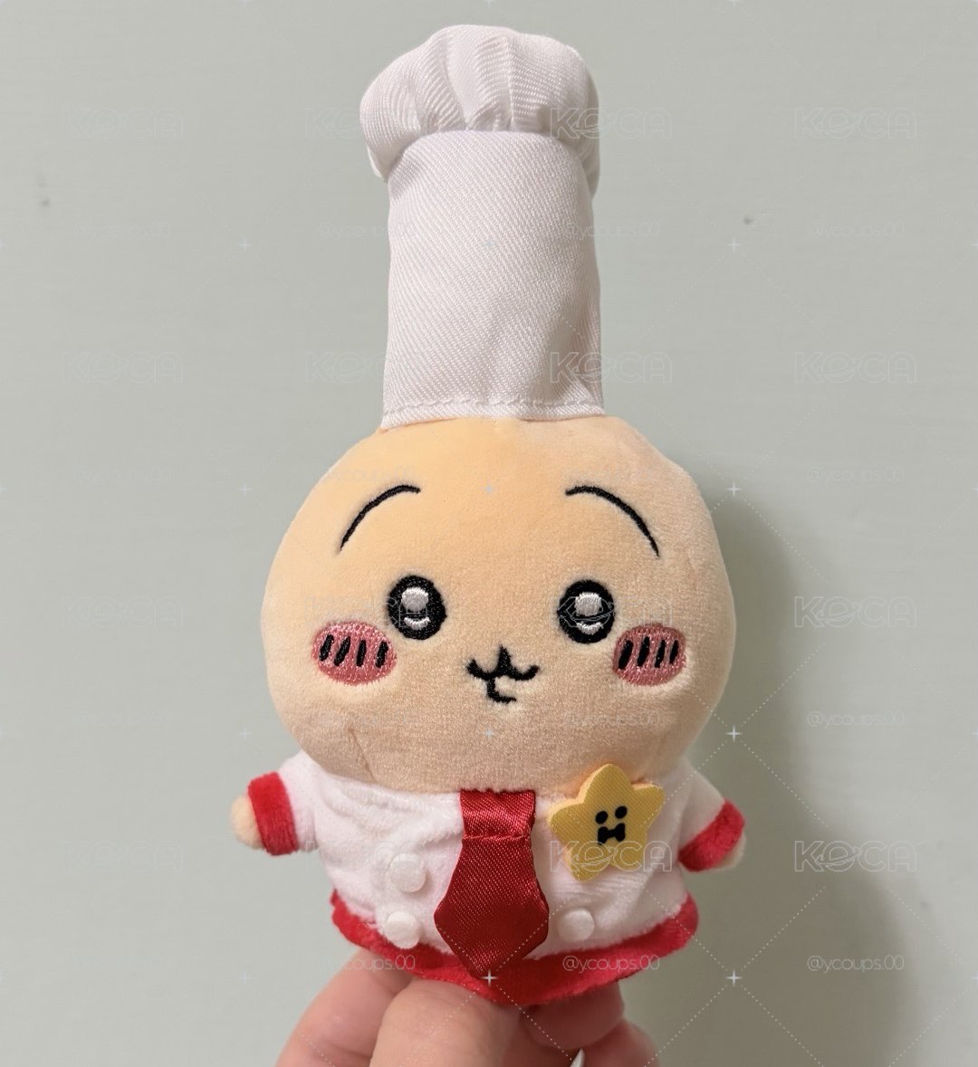 淡坑 售烏薩奇 非盤出