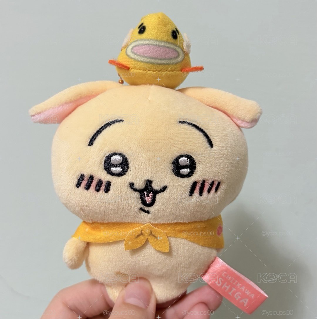 淡坑 售烏薩奇 非盤出