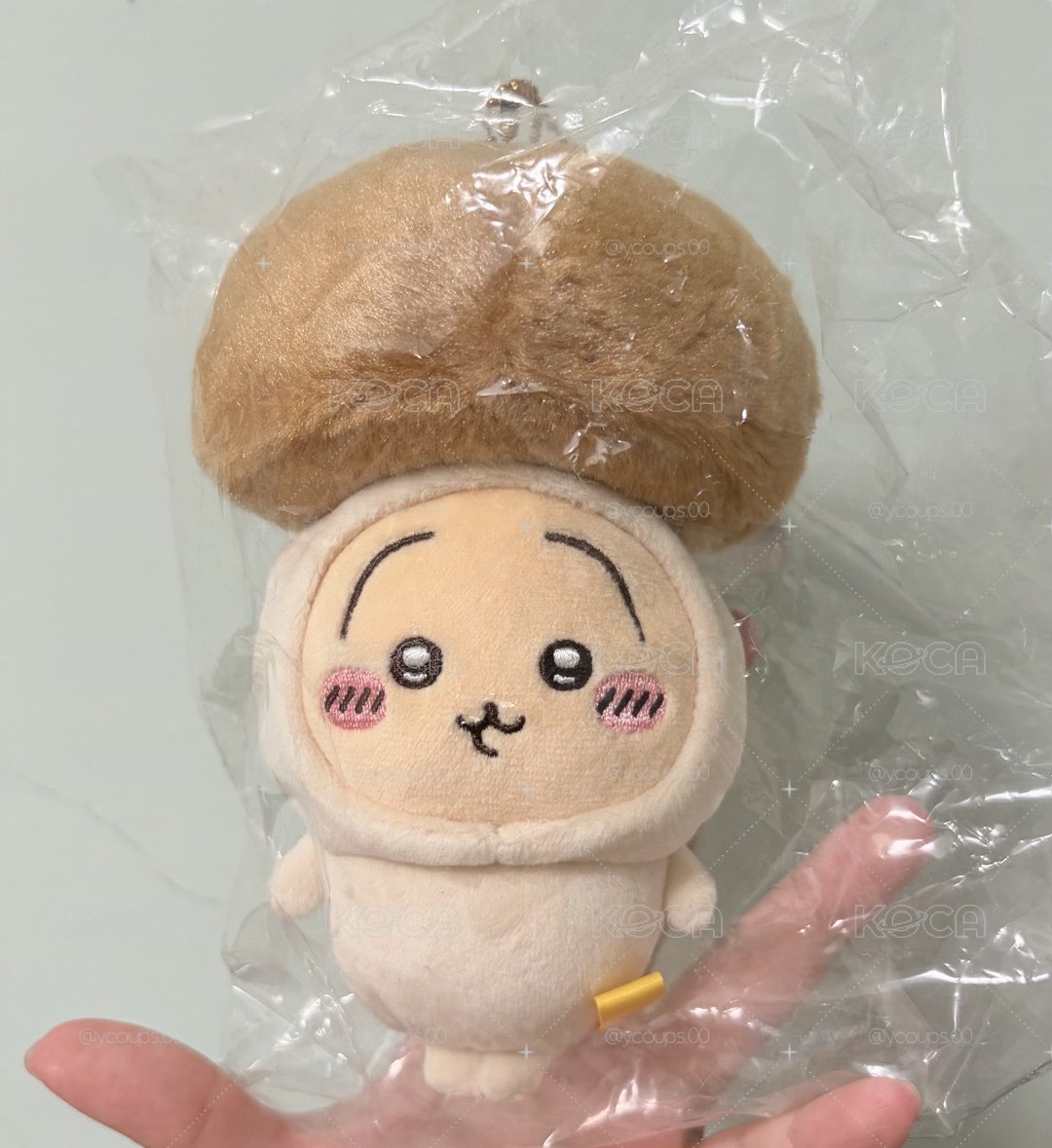 淡坑 售烏薩奇 非盤出