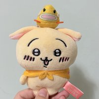 琵琶湖兔