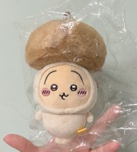 杏鮑菇兔兔