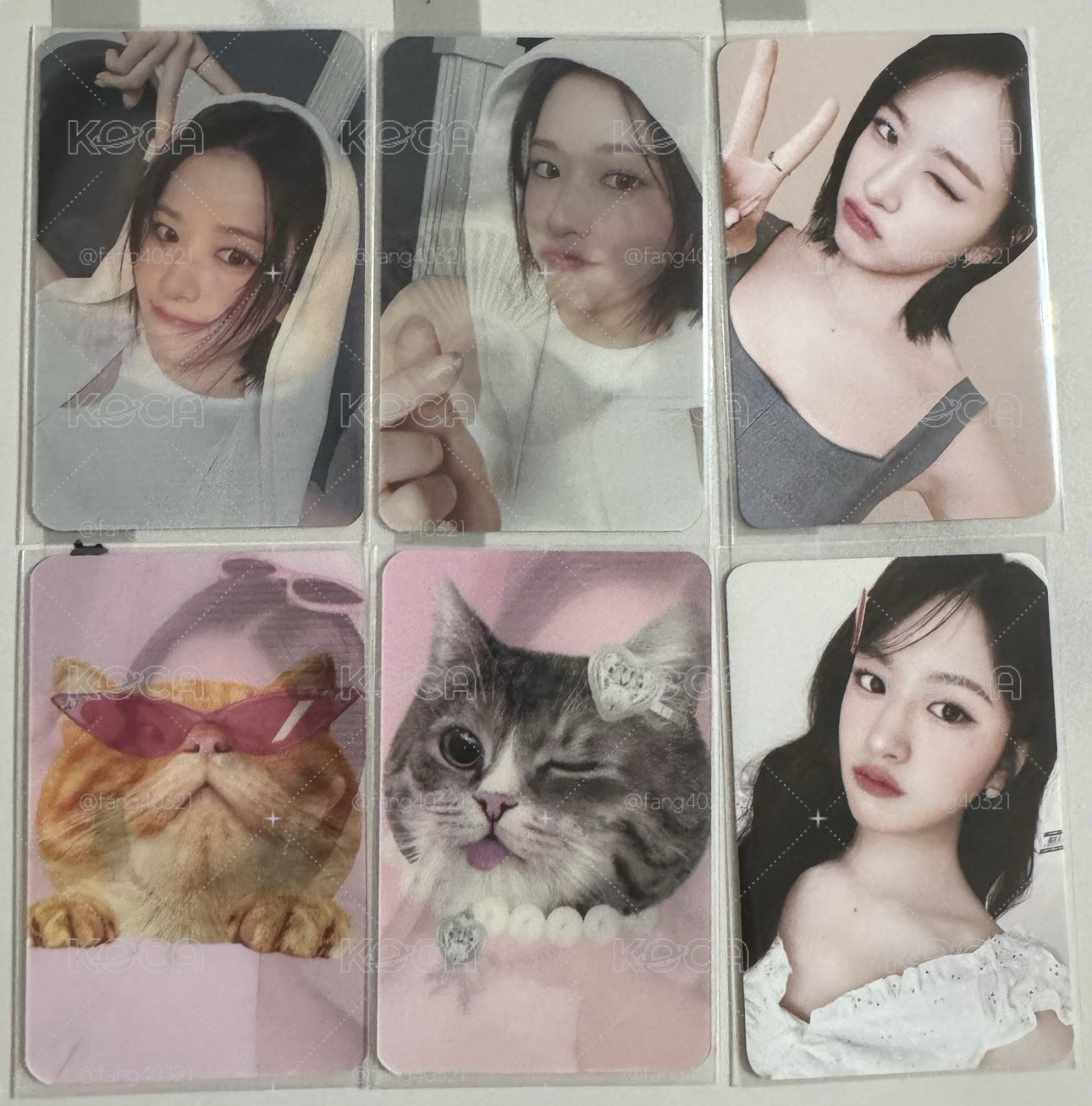 CLIO 安