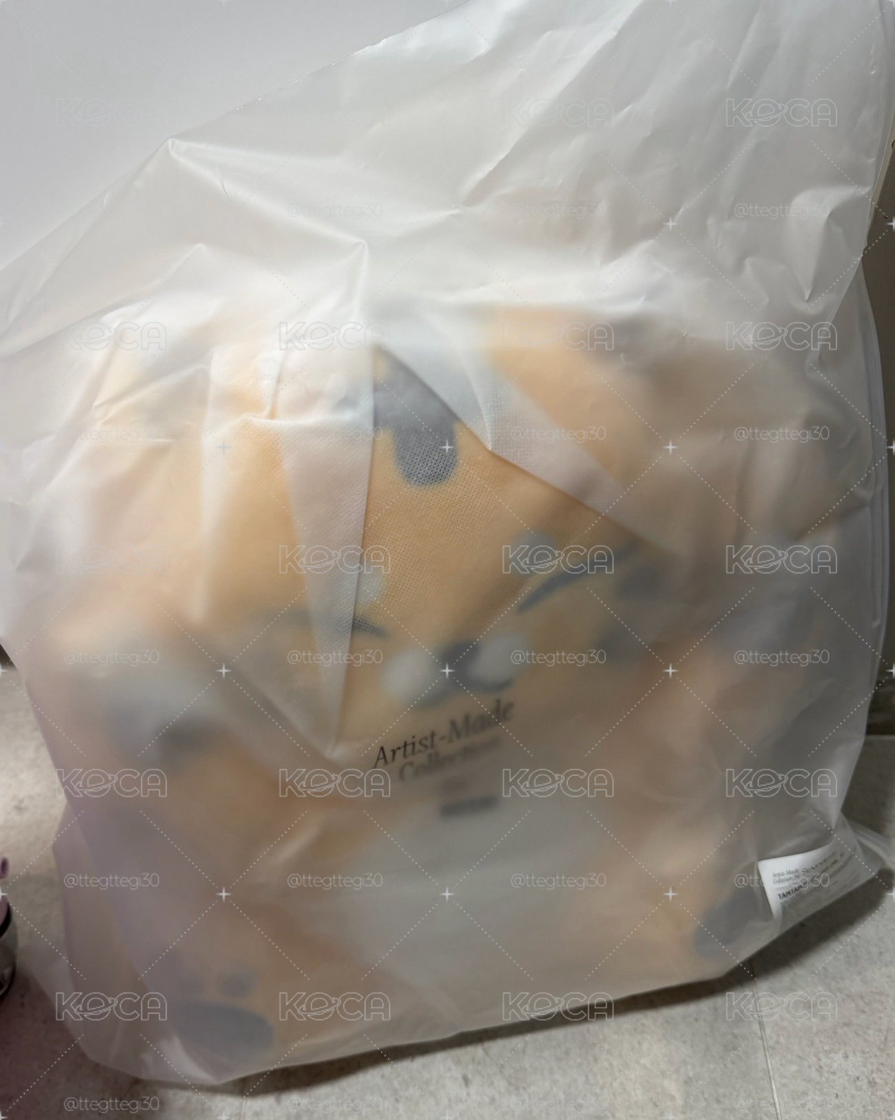 ⭐️成員自製周邊-大眈眈 全新未拆封