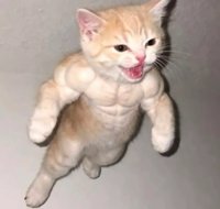 Ruru