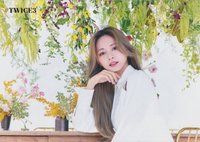 JP精選三 明信片 大卡 39