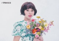 JP精選三 明信片 大卡 48