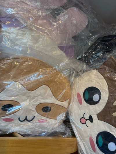 確定買到✅ 寶怪首爾場周