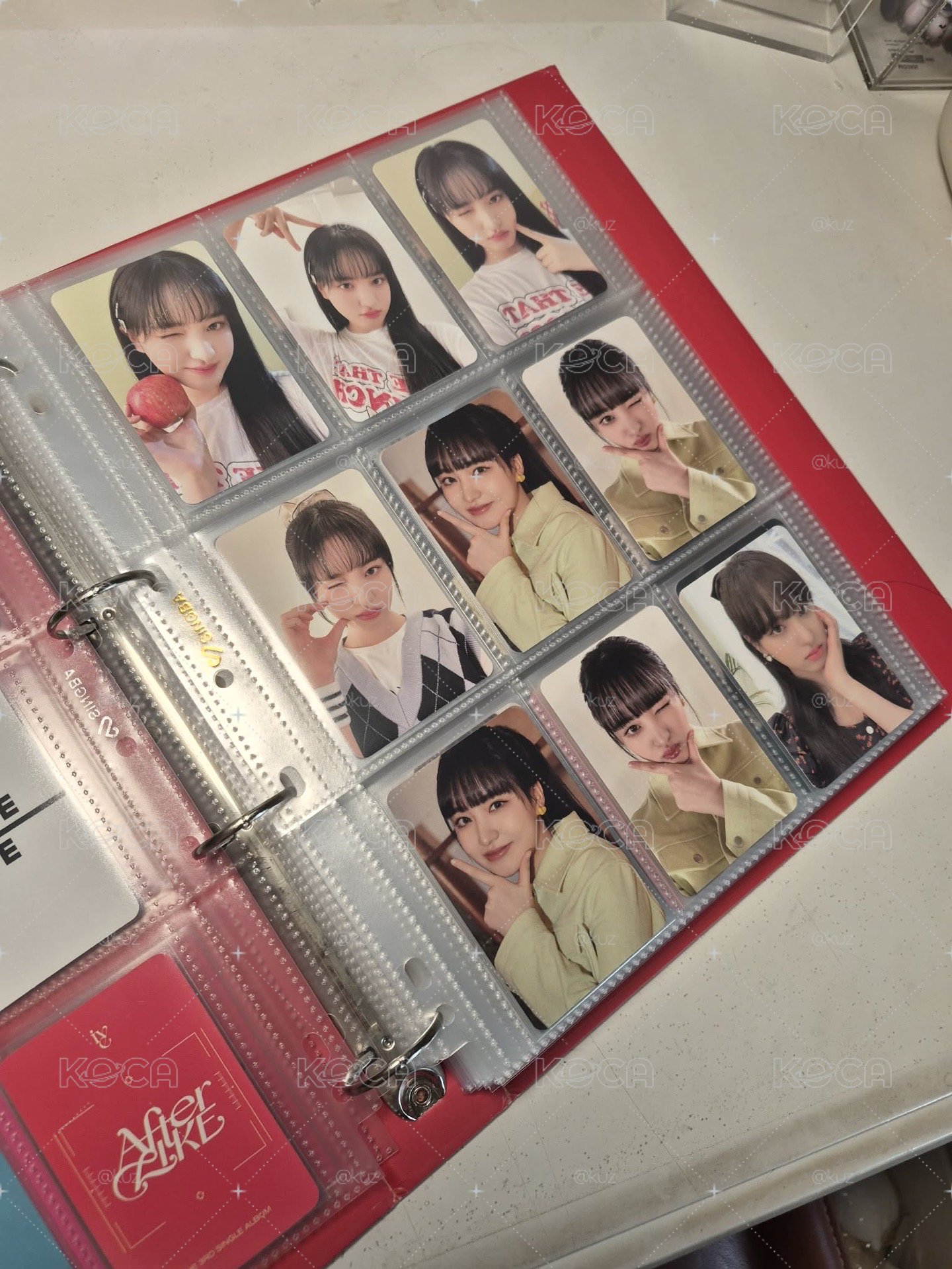 填卡冊大盤贈栗子手燈套