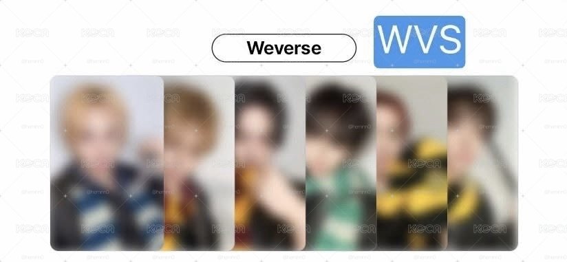 wvsld